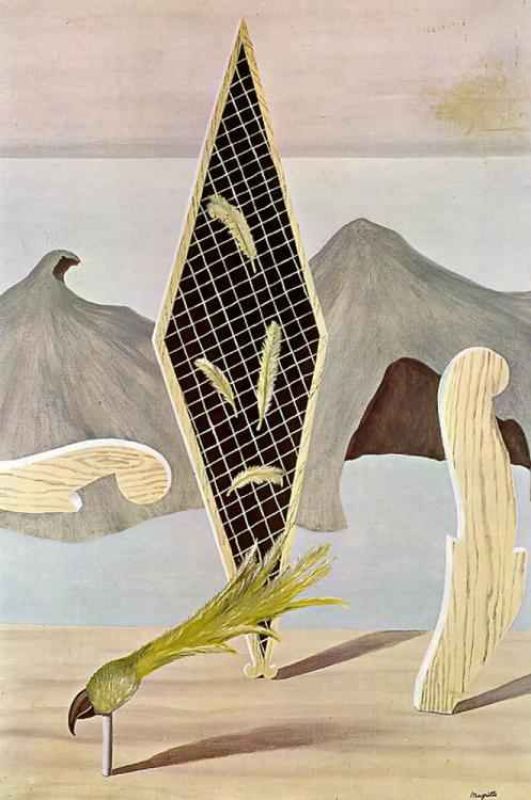 left behind by the shadow.jpg